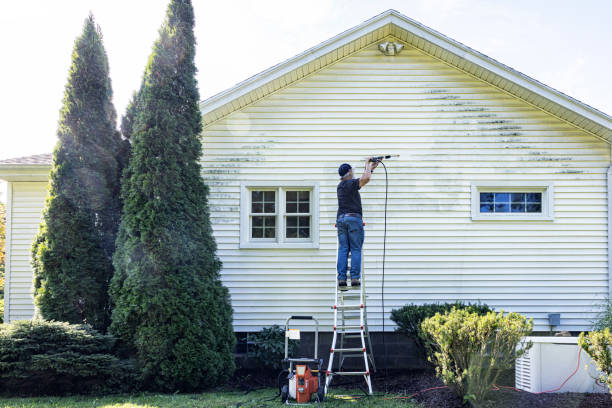 Why Choose Our Certified Pressure Washing Experts for Your Project Needs in Wailuku, HI?