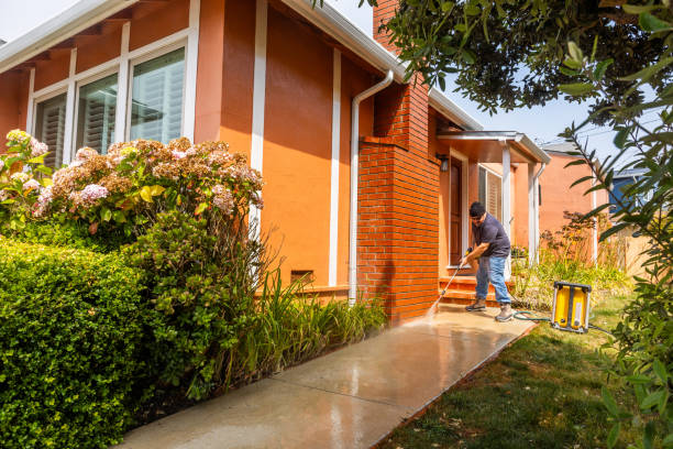 Trusted Wailuku, HI Pressure Washing Experts